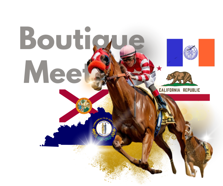 Horse Betting Malaysia | 赛马玩法与赔率入门